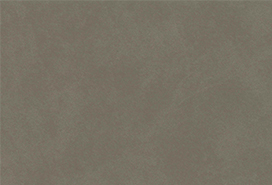 color_front_g