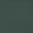 color_T